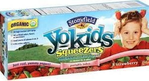 STONYFIELD ORGANIC SQUEEZERS LOWFAT YOGURT TUBES YOKIDS STRAWBERRY