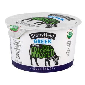STONYFIELD ORGANIC WHOLE MILK FROZEN YOGURT BLUEBERRY GRASSFED