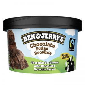 BEN & JERRY'S CHOC FUDGE BROWNIE